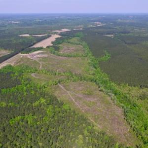 Photo of UNDER CONTRACT!  104.8 Acres of Hunting Land For Sale in Halifax County NC!