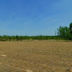 Photo of UNDER CONTRACT!  104.8 Acres of Hunting Land For Sale in Halifax County NC!
