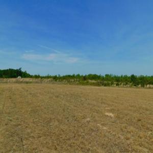 Photo of UNDER CONTRACT!  104.8 Acres of Hunting Land For Sale in Halifax County NC!