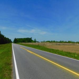 Photo of UNDER CONTRACT!  104.8 Acres of Hunting Land For Sale in Halifax County NC!