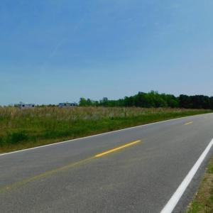 Photo of UNDER CONTRACT!  104.8 Acres of Hunting Land For Sale in Halifax County NC!