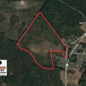 Photo of UNDER CONTRACT!  50.77 Acres of Hunting Land For Sale in Halifax County NC!