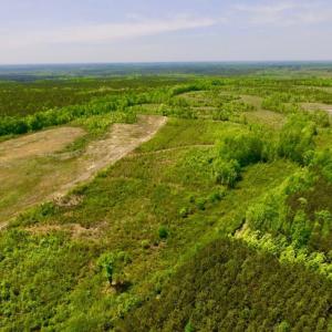 Photo of UNDER CONTRACT!  50.77 Acres of Hunting Land For Sale in Halifax County NC!