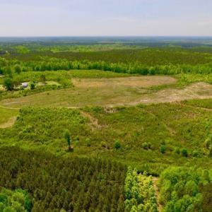 Photo of UNDER CONTRACT!  50.77 Acres of Hunting Land For Sale in Halifax County NC!