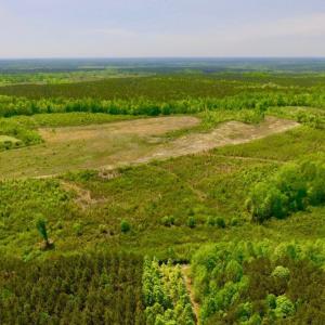 Photo of UNDER CONTRACT!  50.77 Acres of Hunting Land For Sale in Halifax County NC!