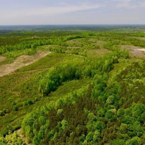 Photo of UNDER CONTRACT!  50.77 Acres of Hunting Land For Sale in Halifax County NC!
