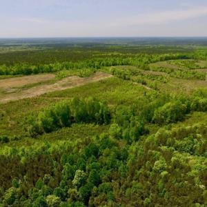 Photo of UNDER CONTRACT!  50.77 Acres of Hunting Land For Sale in Halifax County NC!