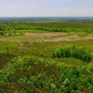 Photo of UNDER CONTRACT!  50.77 Acres of Hunting Land For Sale in Halifax County NC!
