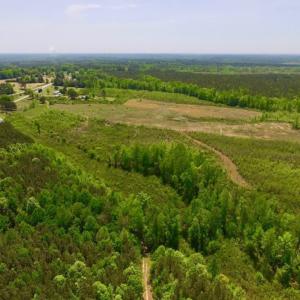 Photo of UNDER CONTRACT!  50.77 Acres of Hunting Land For Sale in Halifax County NC!
