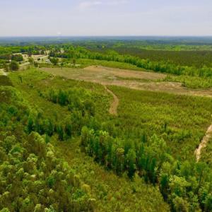 Photo of UNDER CONTRACT!  50.77 Acres of Hunting Land For Sale in Halifax County NC!