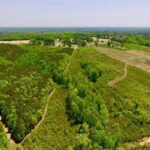 Photo of UNDER CONTRACT!  50.77 Acres of Hunting Land For Sale in Halifax County NC!