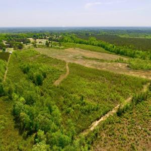 Photo of UNDER CONTRACT!  50.77 Acres of Hunting Land For Sale in Halifax County NC!