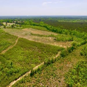 Photo of UNDER CONTRACT!  50.77 Acres of Hunting Land For Sale in Halifax County NC!