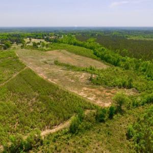 Photo of UNDER CONTRACT!  50.77 Acres of Hunting Land For Sale in Halifax County NC!