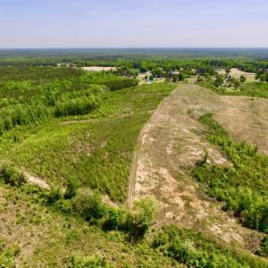 Photo of UNDER CONTRACT!  50.77 Acres of Hunting Land For Sale in Halifax County NC!