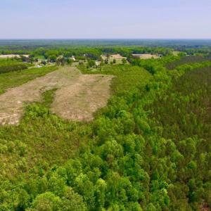 Photo of UNDER CONTRACT!  50.77 Acres of Hunting Land For Sale in Halifax County NC!
