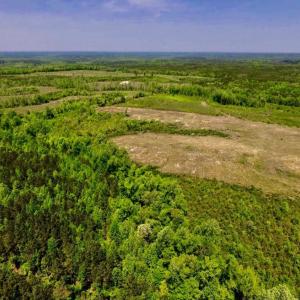 Photo of UNDER CONTRACT!  50.77 Acres of Hunting Land For Sale in Halifax County NC!