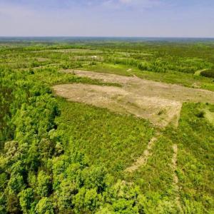 Photo of UNDER CONTRACT!  50.77 Acres of Hunting Land For Sale in Halifax County NC!