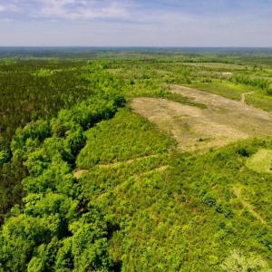 Photo of UNDER CONTRACT!  50.77 Acres of Hunting Land For Sale in Halifax County NC!
