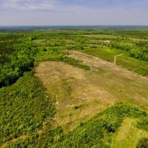 Photo of UNDER CONTRACT!  50.77 Acres of Hunting Land For Sale in Halifax County NC!