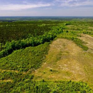 Photo of UNDER CONTRACT!  50.77 Acres of Hunting Land For Sale in Halifax County NC!