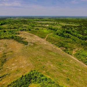 Photo of UNDER CONTRACT!  50.77 Acres of Hunting Land For Sale in Halifax County NC!