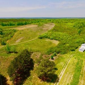 Photo of UNDER CONTRACT!  50.77 Acres of Hunting Land For Sale in Halifax County NC!
