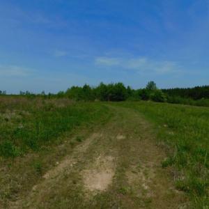 Photo of UNDER CONTRACT!  50.77 Acres of Hunting Land For Sale in Halifax County NC!