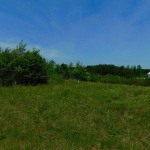 Photo of UNDER CONTRACT!  50.77 Acres of Hunting Land For Sale in Halifax County NC!