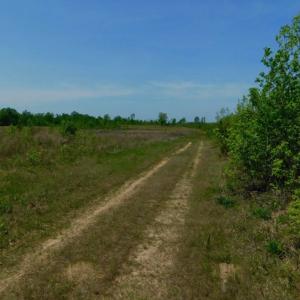 Photo of UNDER CONTRACT!  50.77 Acres of Hunting Land For Sale in Halifax County NC!