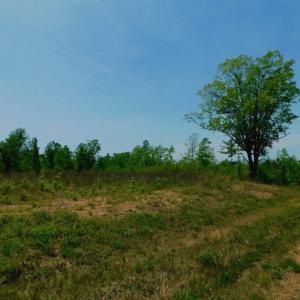 Photo of UNDER CONTRACT!  50.77 Acres of Hunting Land For Sale in Halifax County NC!