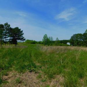 Photo of UNDER CONTRACT!  50.77 Acres of Hunting Land For Sale in Halifax County NC!