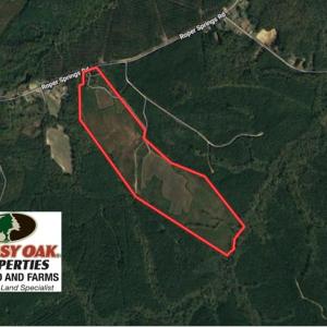 Photo of UNDER CONTRACT!  102 Acres of Hunting Land For Sale in Halifax County NC!