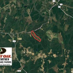 Photo of UNDER CONTRACT!  102 Acres of Hunting Land For Sale in Halifax County NC!