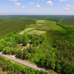 Photo of UNDER CONTRACT!  102 Acres of Hunting Land For Sale in Halifax County NC!