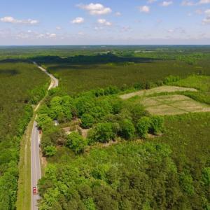 Photo of UNDER CONTRACT!  102 Acres of Hunting Land For Sale in Halifax County NC!