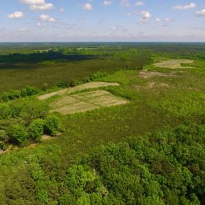 Photo of UNDER CONTRACT!  102 Acres of Hunting Land For Sale in Halifax County NC!