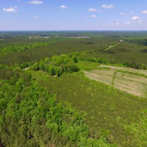 Photo of UNDER CONTRACT!  102 Acres of Hunting Land For Sale in Halifax County NC!
