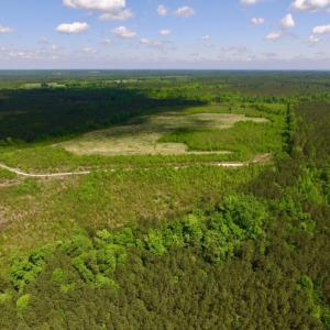 Photo of UNDER CONTRACT!  102 Acres of Hunting Land For Sale in Halifax County NC!