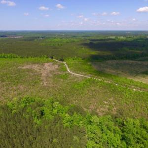 Photo of UNDER CONTRACT!  102 Acres of Hunting Land For Sale in Halifax County NC!
