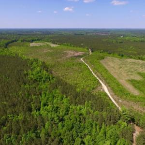 Photo of UNDER CONTRACT!  102 Acres of Hunting Land For Sale in Halifax County NC!