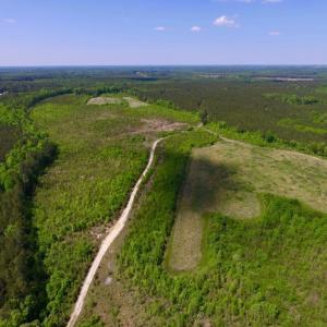 Photo of UNDER CONTRACT!  102 Acres of Hunting Land For Sale in Halifax County NC!