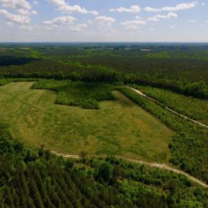 Photo of UNDER CONTRACT!  102 Acres of Hunting Land For Sale in Halifax County NC!
