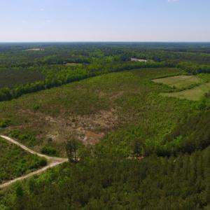 Photo of UNDER CONTRACT!  102 Acres of Hunting Land For Sale in Halifax County NC!