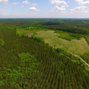 Photo of UNDER CONTRACT!  102 Acres of Hunting Land For Sale in Halifax County NC!