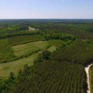 Photo of UNDER CONTRACT!  102 Acres of Hunting Land For Sale in Halifax County NC!