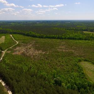 Photo of UNDER CONTRACT!  102 Acres of Hunting Land For Sale in Halifax County NC!