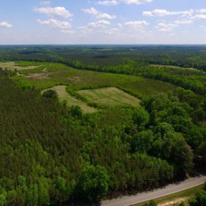 Photo of UNDER CONTRACT!  102 Acres of Hunting Land For Sale in Halifax County NC!