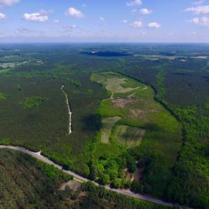 Photo of UNDER CONTRACT!  102 Acres of Hunting Land For Sale in Halifax County NC!