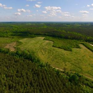 Photo of UNDER CONTRACT!  102 Acres of Hunting Land For Sale in Halifax County NC!